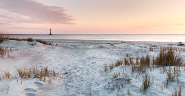 It’s Not Too Late to Get Away for the Winter in South Carolina: Your Vacation Destination